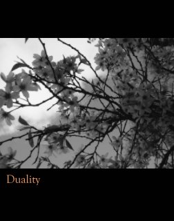 Duality book cover