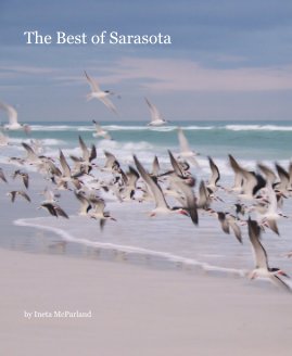 The Best of Sarasota book cover