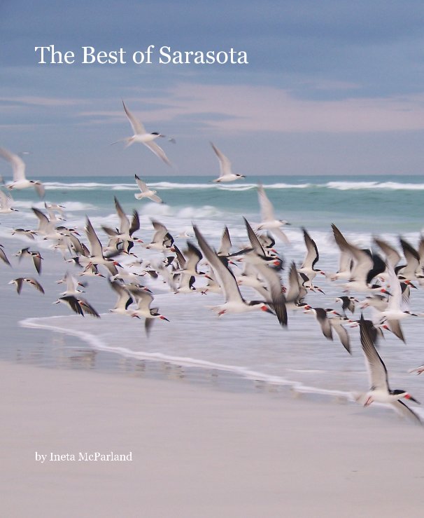 View The Best of Sarasota by Ineta McParland