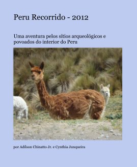 Peru Recorrido - 2012 book cover