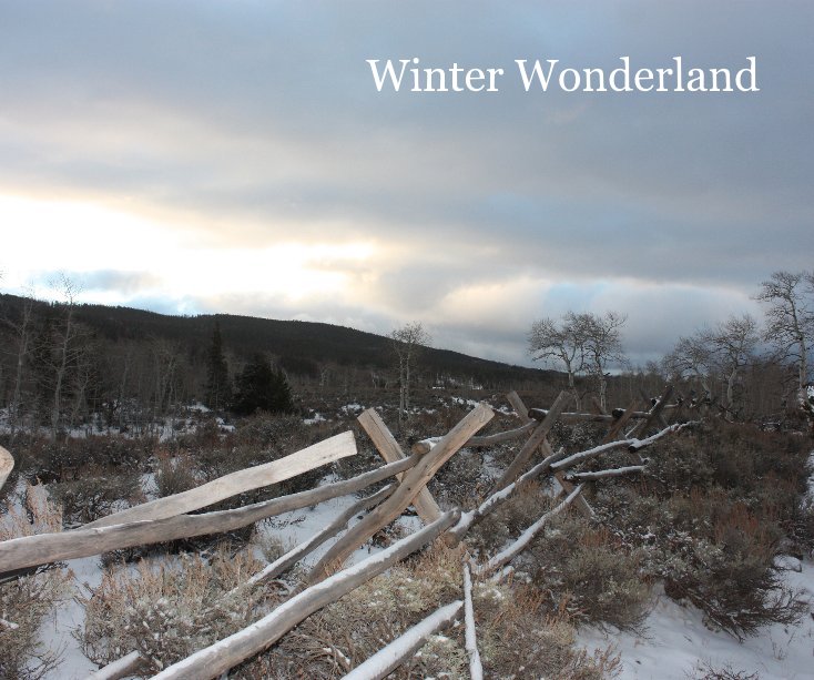 View Winter Wonderland by Photography by Gary Coles