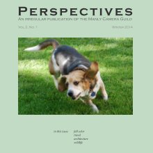 Perspectives, Vol. 2 no. 1 book cover