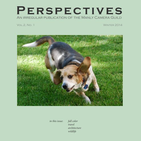 Ver Perspectives, Vol. 2 no. 1 por Birnbaum (ed.), et al.