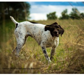 German Shorthaired Pointers book cover