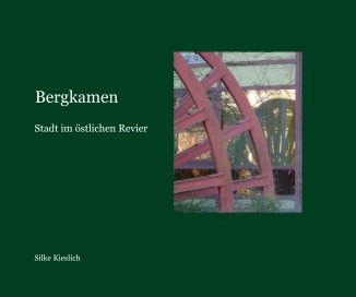 Bergkamen book cover