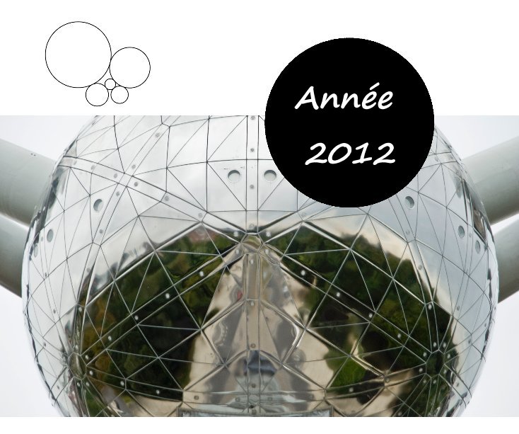 View Année 2012 by Julien Fontaine