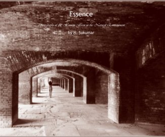 Essence book cover