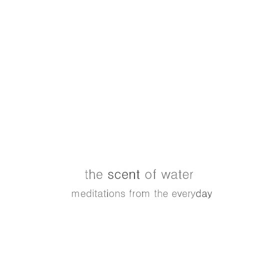 View the scent of water by Megan Young