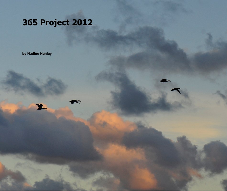 Ver 365 Project 2012 por Nadine Henley