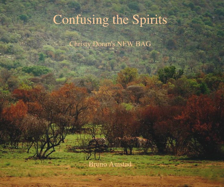 View Confusing the Spirits by Bruno Amstad