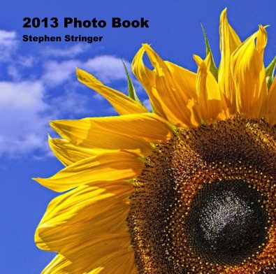 2013 Photo Book Stephen Stringer book cover