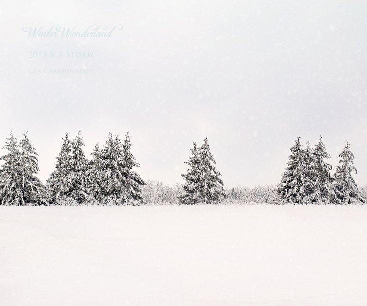 View Winter Wonderland by Lisa Charbonneau