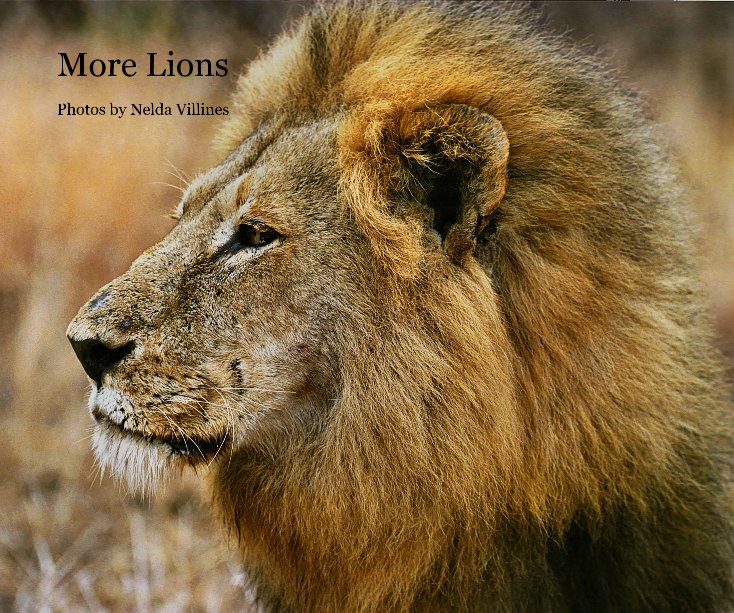View More Lions by Nelda Villines