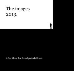 The images 2013. book cover