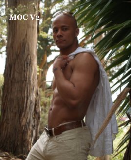 Men Of Color Vol 2 book cover