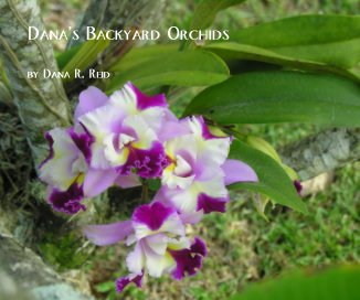 Dana's Backyard Orchids book cover