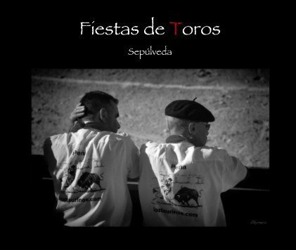 Fiestas de Toros book cover