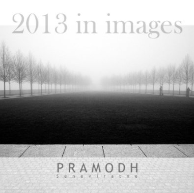 100 photos for 2013 book cover