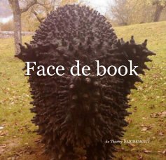Face de book book cover