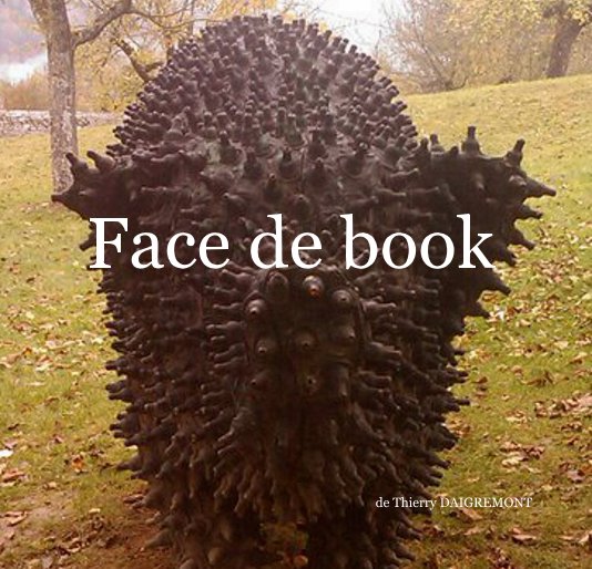 View Face de book by de Thierry DAIGREMONT