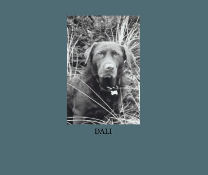 DALI book cover