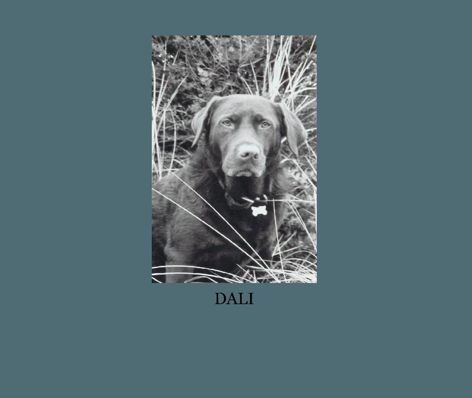 View DALI by kerimaxwell