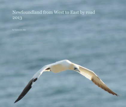 Newfoundland from West to East by road 2013 book cover