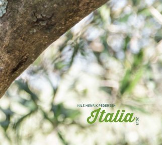 Italia 2013 book cover