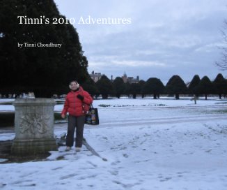 Tinni's 2010 Adventures book cover