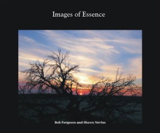 Images of Essence book cover