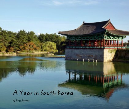 A Year in South Korea book cover