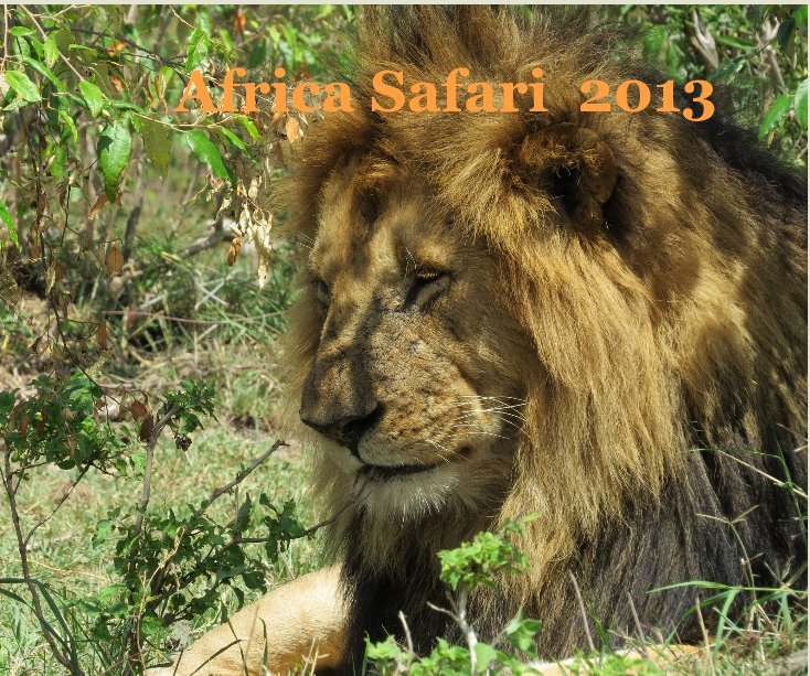 View Africa Safari 2013 by Marsha Tyler