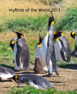 myBirds of the World 2013 book cover