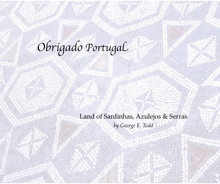 View Obrigado Portugal by George E. Todd