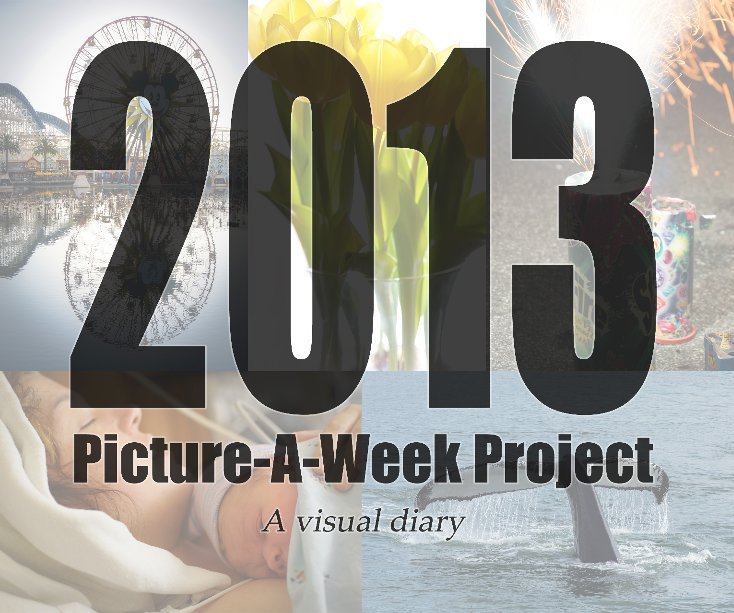 Visualizza Picture-A-Week 2013 di David Pierce