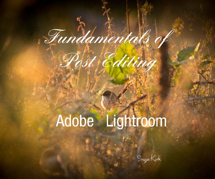 View Fundamentals of Post Editing by Suzie Kirk