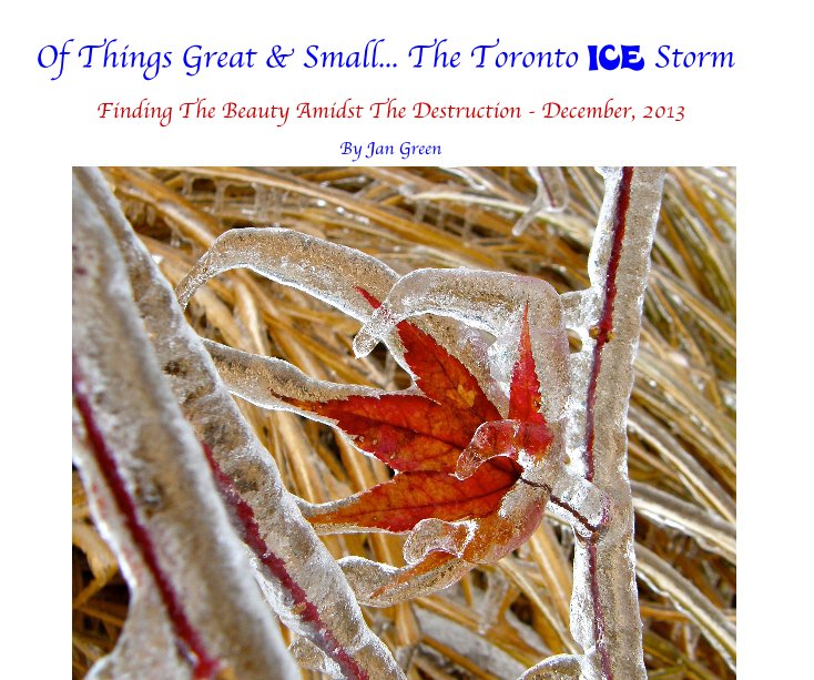View Of Things Great & Small... The Toronto ICE Storm by Jan Green