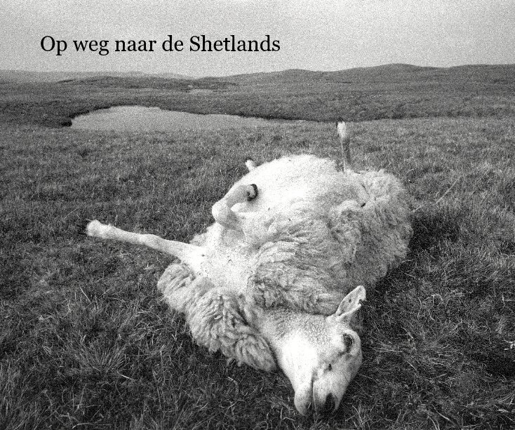 Visualizza Op weg naar de Shetlands di GigaBig