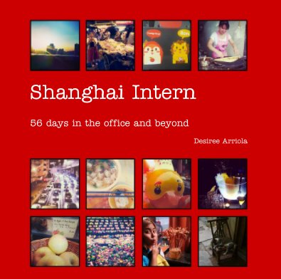 Shanghai Intern book cover