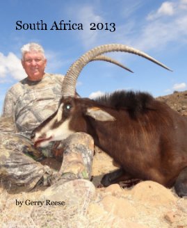 South Africa 2013 book cover