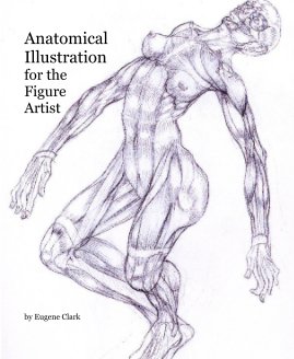Anatomical Illustration for the Figure Artist book cover