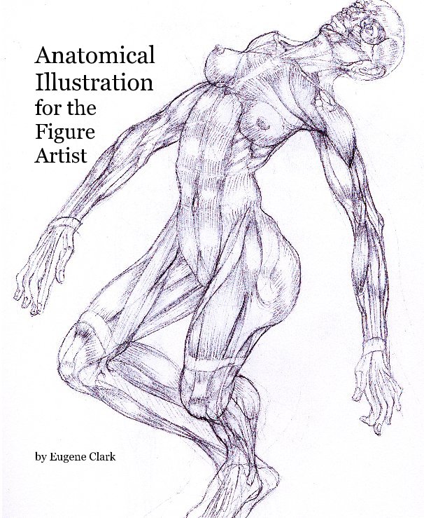 View Anatomical Illustration for the Figure Artist by Eugene Clark