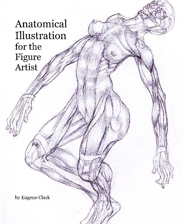 Anatomical Illustration for the Figure Artist von Eugene Clark | Blurb