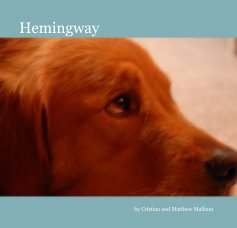 Hemingway book cover