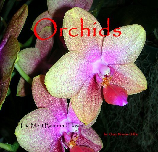 View Orchids by Gary Wayne Gillis