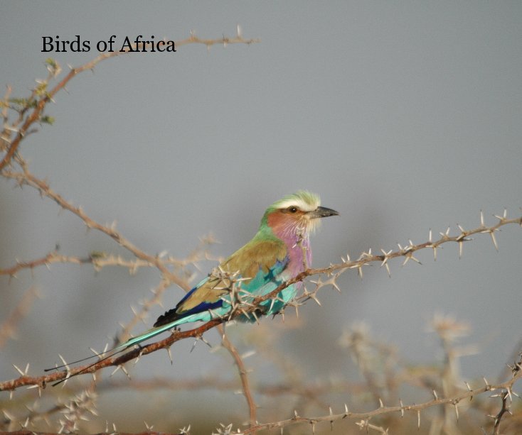 View Birds of Africa by Marie de Carne