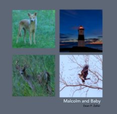 Malcolm and Baby book cover