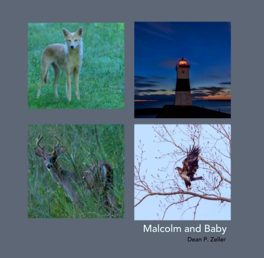 View Malcolm and Baby by Dean P. Zeller