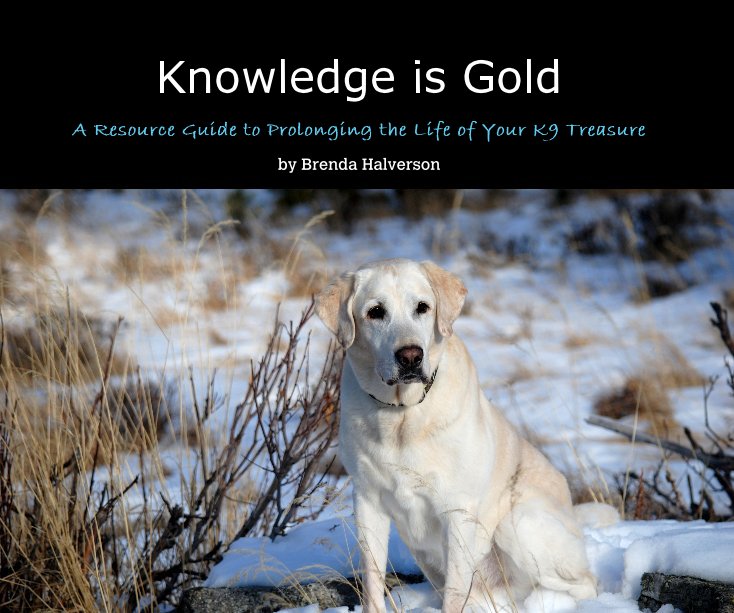 Bekijk Knowledge is Gold op Brenda Halverson