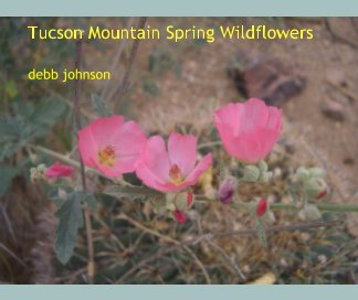 Tucson Mountain Spring Wildflowers book cover